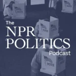 Third Party Candidates & Nonpartisan Voting Initiatives Falter