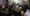 Ex-Proud Boys leader Enrique Tarrio freed, expected Tuesday in Miami, family says
